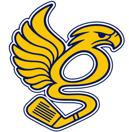 The Gallaspy Falcon