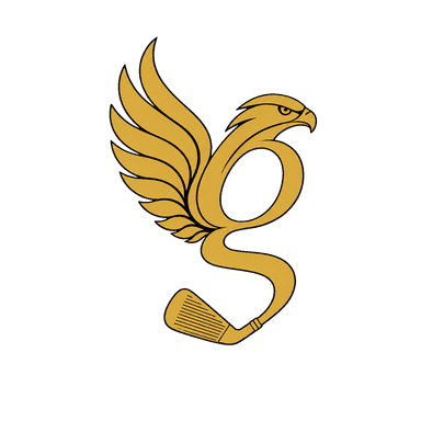 The Gallaspy Falcon